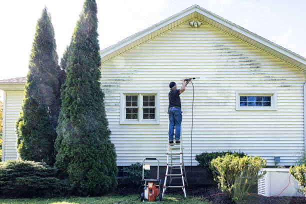 Best Deck Cleaning Services  in Huntington Woods, MI
