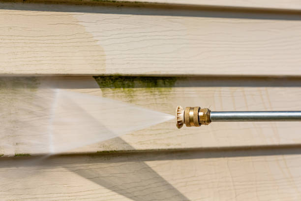 Best Roof Pressure Washing  in Huntington Woods, MI